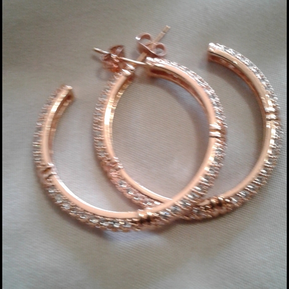 Rose Gold Earrings - Picture 3 of 4
